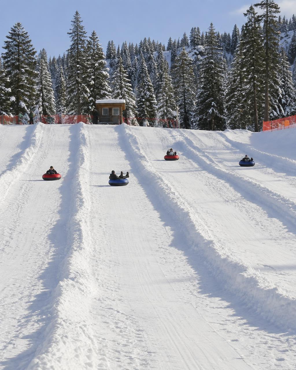 Dodge Ridge Ski Resort