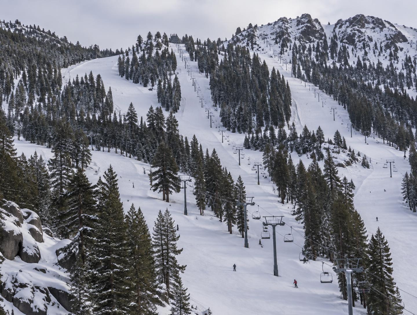 Wide winter view of tree-lined runs and chairlift towers rising up the mountain