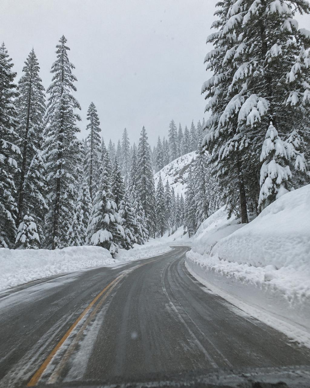 A plowed two-lane mountain highway curving uphill between high snow banks and snow-laden pines