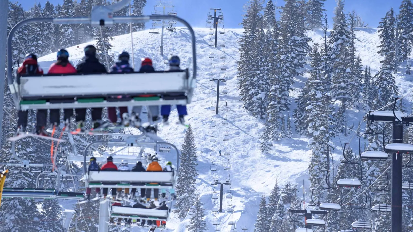 STAY NEAR BEAR VALLEY