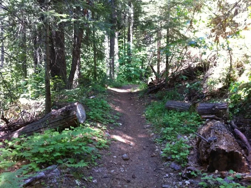 Trails around Arnold
