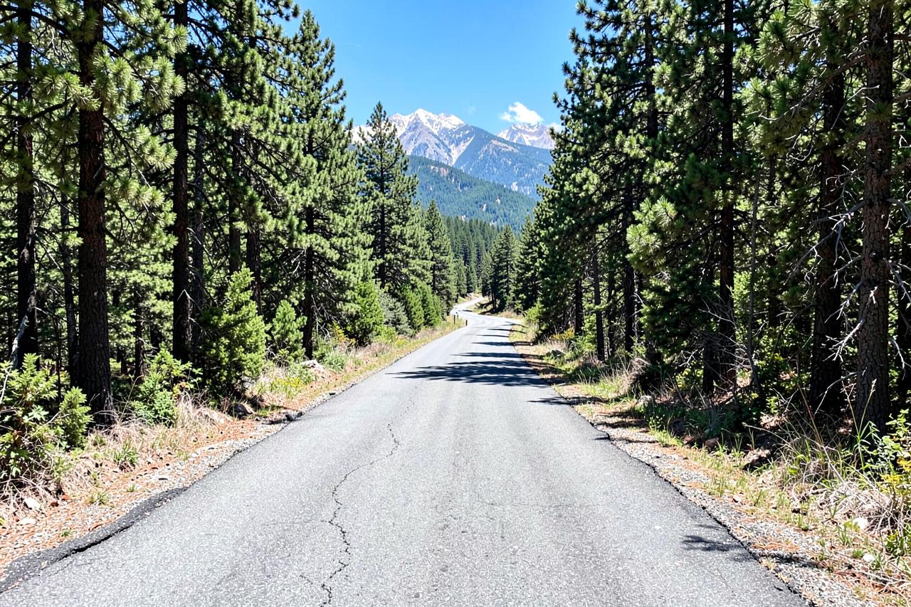 A narrow winding forest road with broken pavement edges climbing through pines