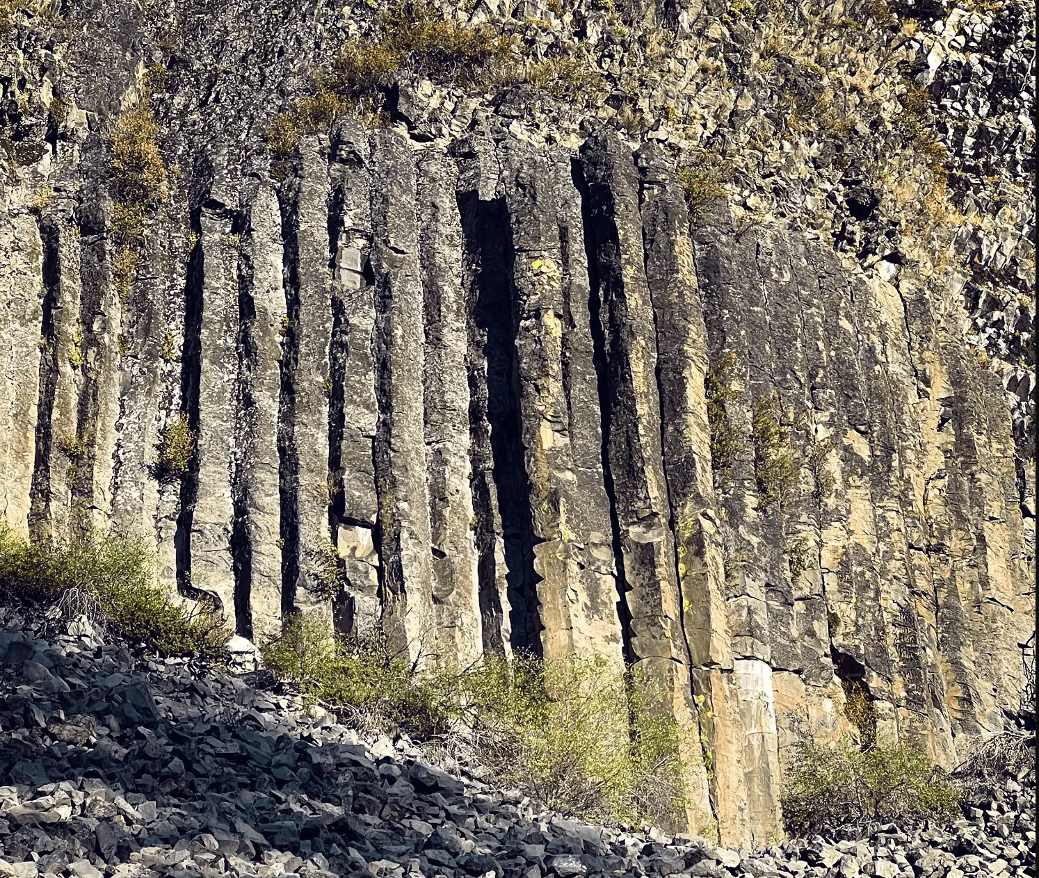 Rock Climbing near Arnold, CA