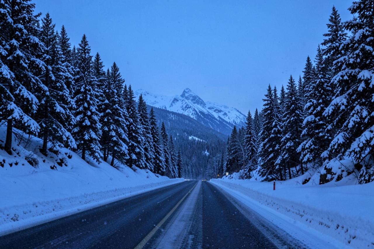 A snow-covered mountain highway at dusk during light snowfall, pines heavy with snow on both sides