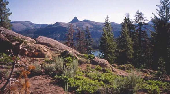 Hiking guide