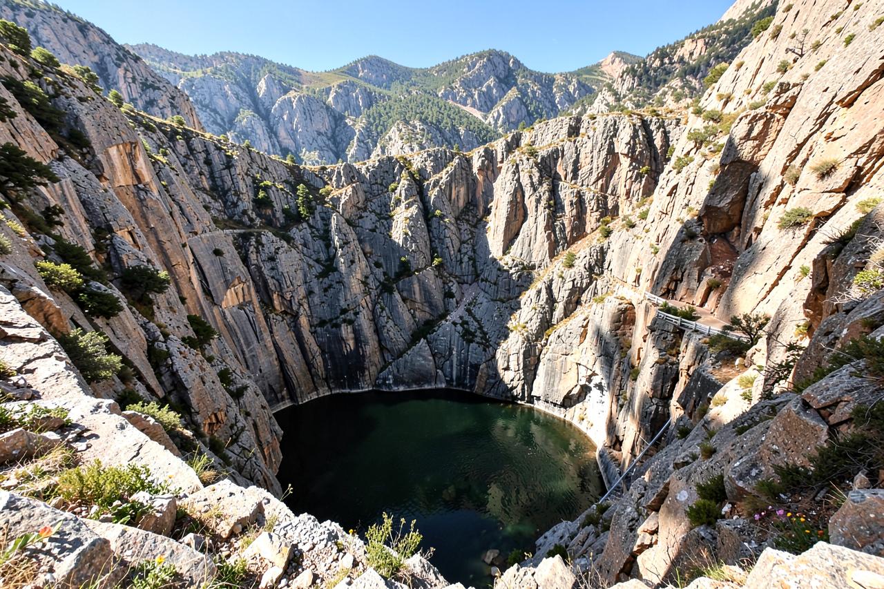 Salt Springs Reservoir