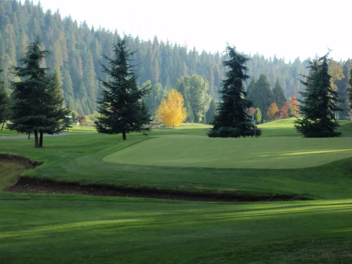Golfing
