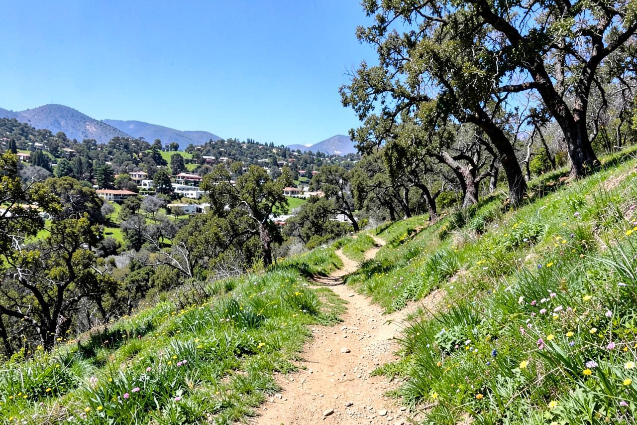 A dirt trail climbing a green oak-studded hillside above the rooftops of a foothill town in spring