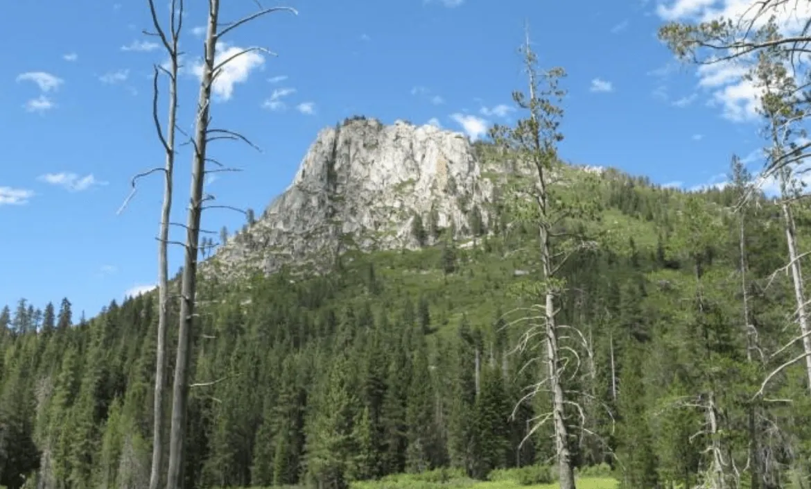 History of Stanislaus National Forest