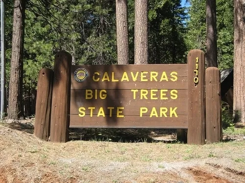 Big Trees State Park