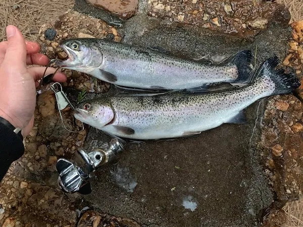 The Best Fishing Spots Near Arnold, CA